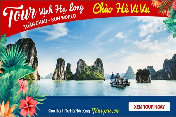 lời cảm ơn sau tour Hạ Long - Hình 4