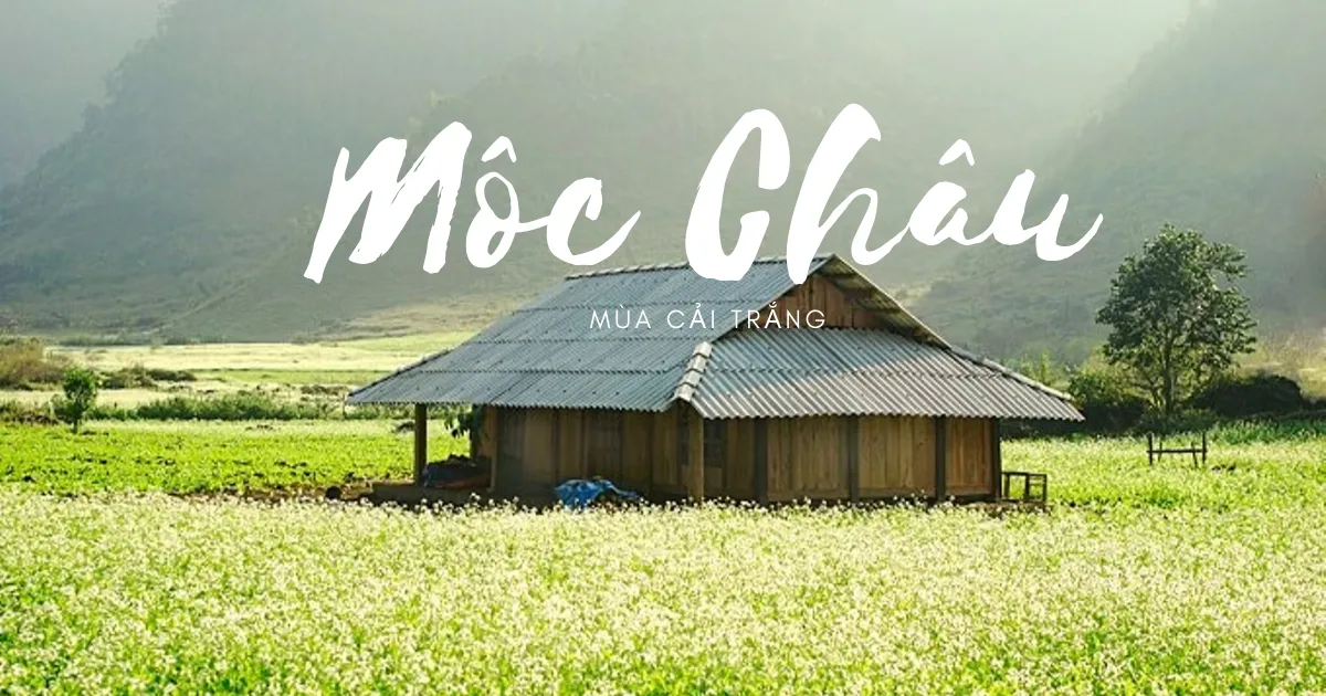 lời chúc đi Mộc Châu - Hình 2