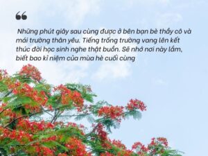 lời chúc đi nghỉ hè