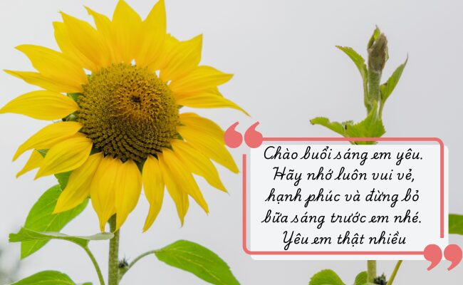 lời chúc hành trình đáng nhớ - Hình 2