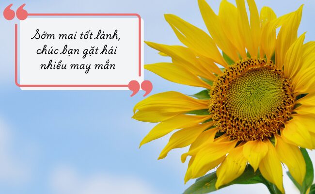 lời chúc hành trình nhiều trải nghiệm - Hình 3