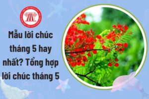 lời chúc kỳ nghỉ 1 tháng 5
