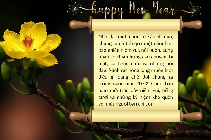lời chúc kỳ nghỉ cuối năm - Hình 4