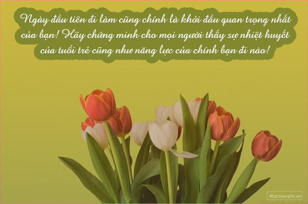 lời chúc kỳ nghỉ đầu năm - Hình 5