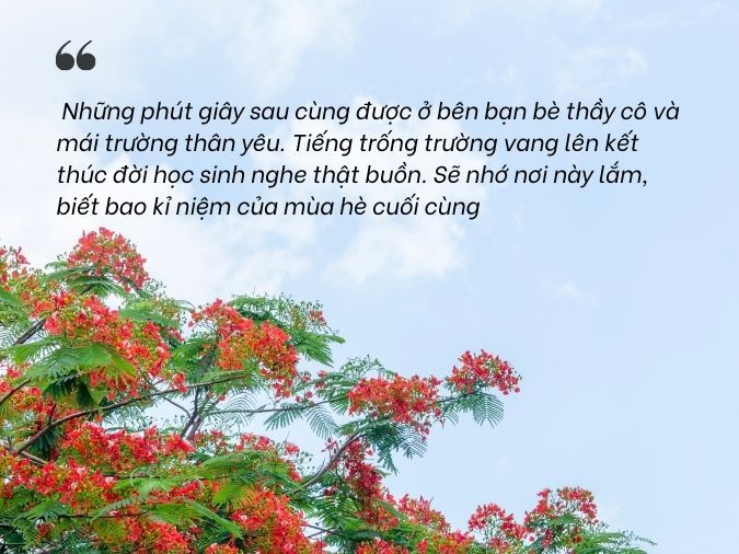 lời chúc kỳ nghỉ hè vui vẻ - Hình 5