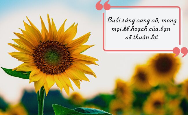 lời chúc quý khách có nhiều trải nghiệm đẹp - Hình 5