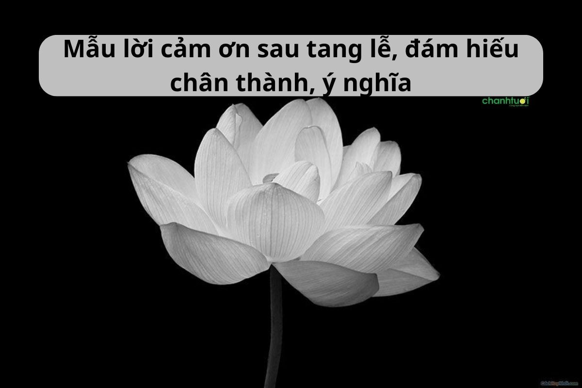mẫu lời cảm ơn dành cho gia đình sau chuyến đi - Hình 5