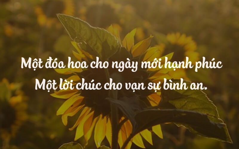 mẫu lời chúc khởi hành tour - Hình 2