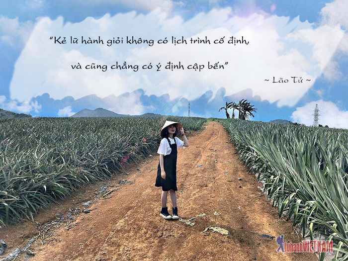 quote du lịch - Hình 2